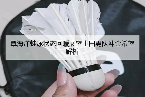覃海洋蛙泳状态回暖展望中国男队冲金希望解析